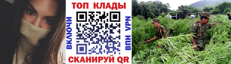 Купить наркотики цена Каргополь ГАШ  Конопля  Амфетамин  Бутират  Alpha PVP  Меф 