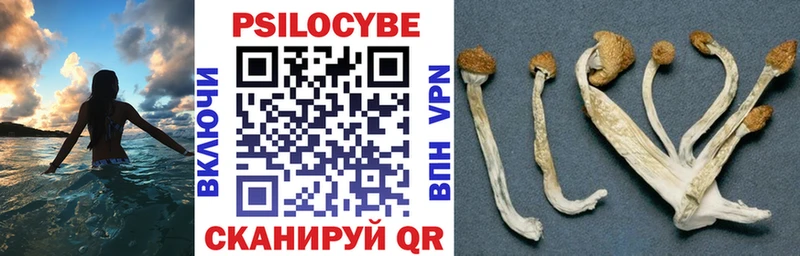 Псилоцибиновые грибы мухоморы  Каргополь 
